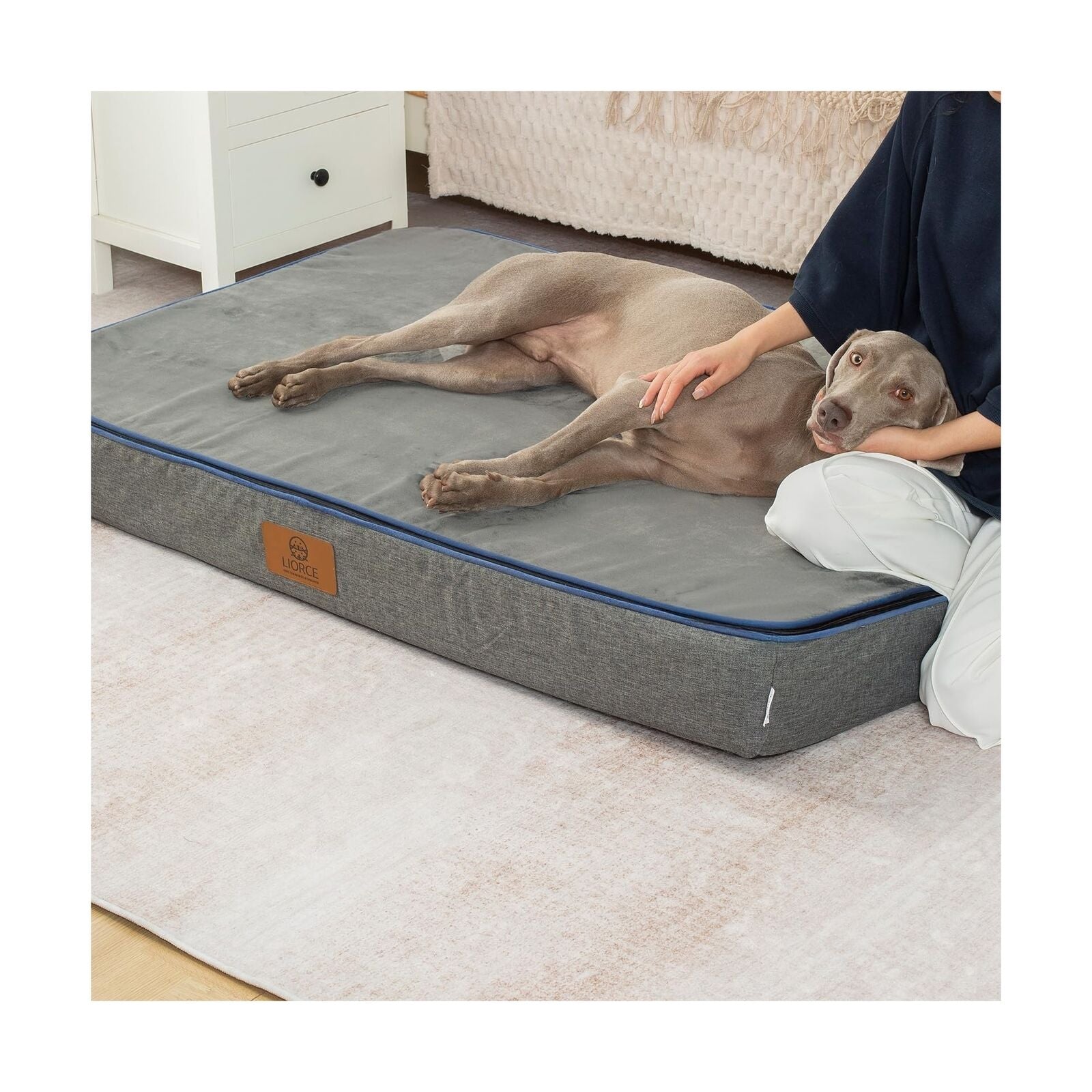 Memory Foam Giant Dog Bed - 6" Thick Orthopedic Dog Bed for Extra Large Dogs ...