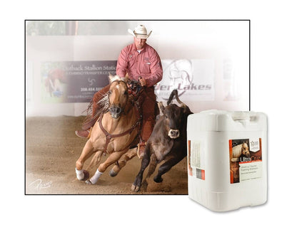 Ultracruz Equine Foaming Horse Shampoo, 5 Gallon Refill