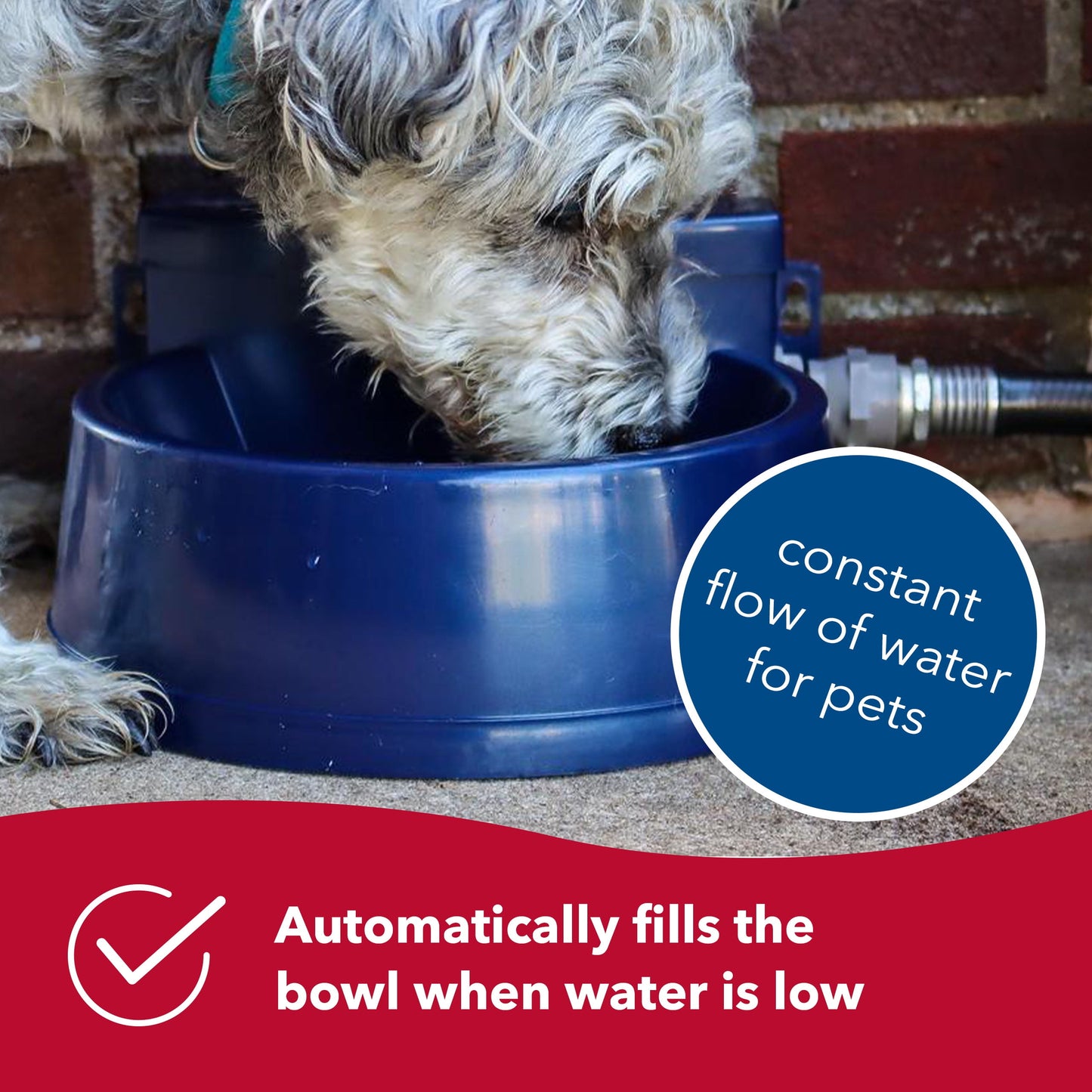 Bergan Auto-Wata - Backyard & Patio Automatic Water Bowl - Navy - 1.5 Qts / 48 Oz