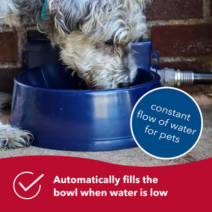 Bergan Auto-Wata - Backyard & Patio Automatic Water Bowl - Navy - 1.5 Qts / 48 Oz