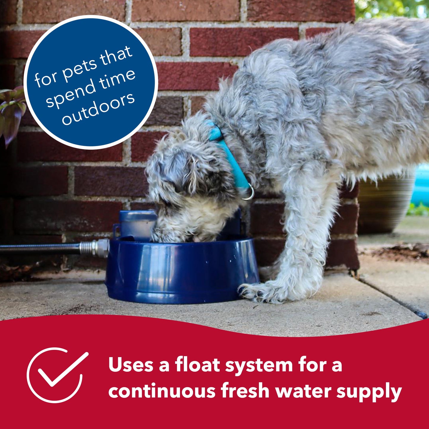 Bergan Auto-Wata - Backyard & Patio Automatic Water Bowl - Navy - 1.5 Qts / 48 Oz