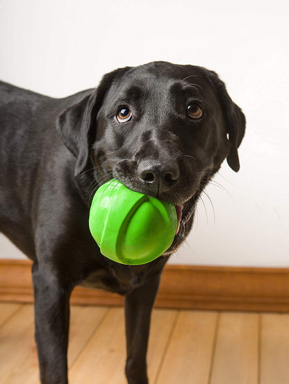 Hartz Dura Play Ball Dog Latex Squeaky Toy Fetch Assorted