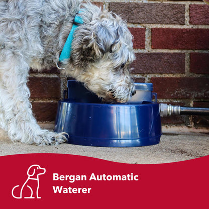Bergan Auto-Wata - Backyard & Patio Automatic Water Bowl - Navy - 1.5 Qts / 48 Oz